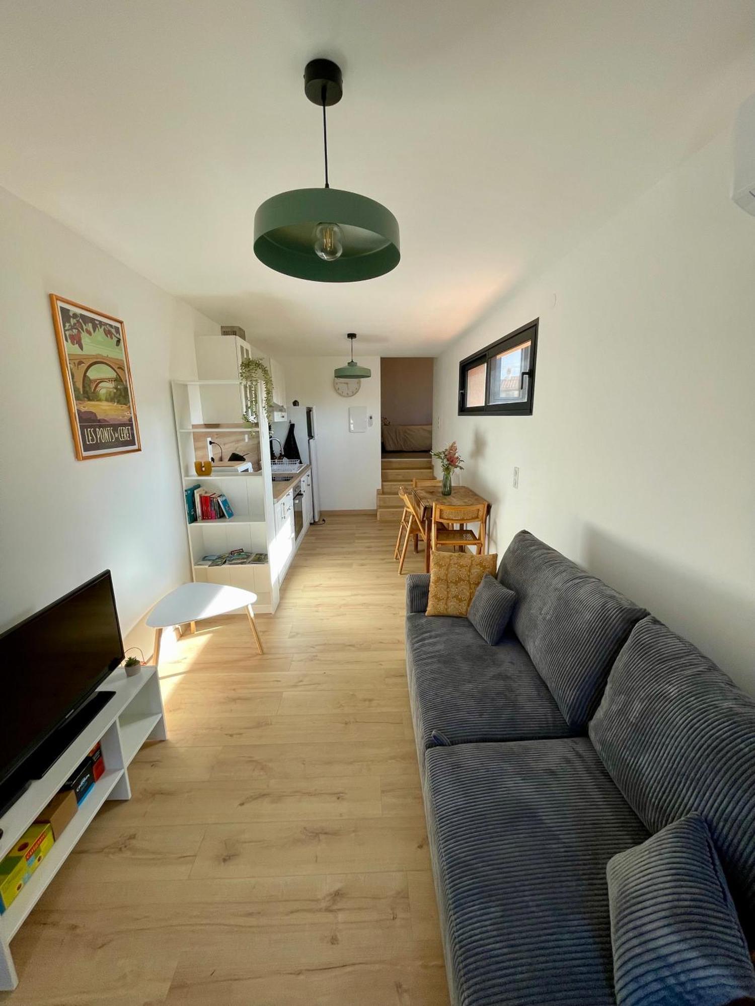 Bel Appartement A Céret Dış mekan fotoğraf