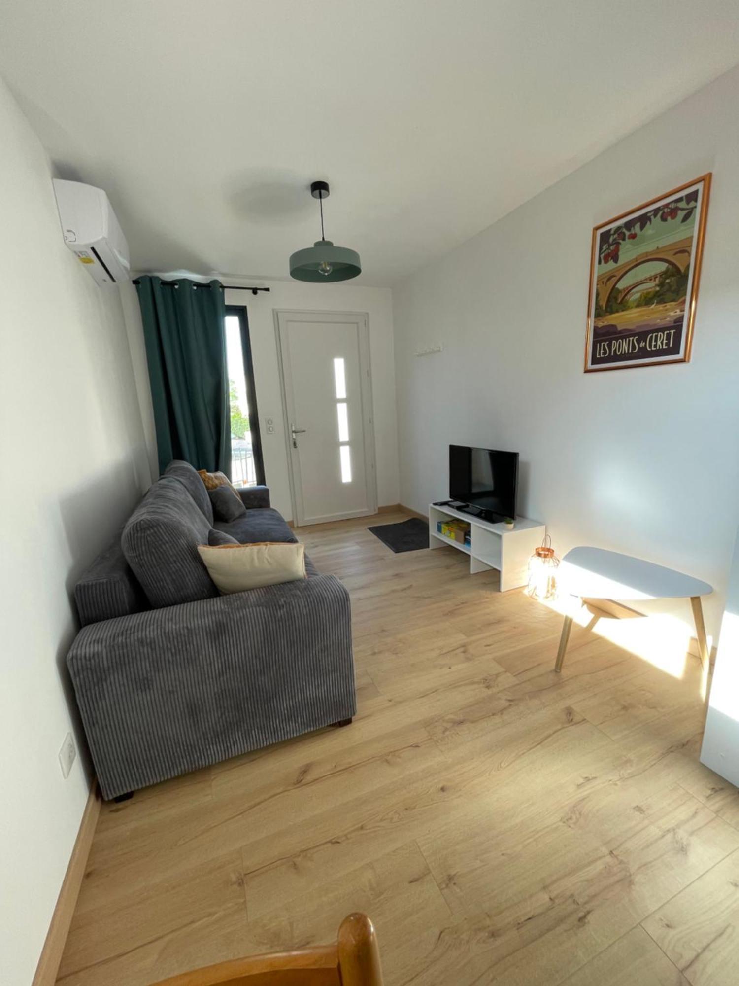 Bel Appartement A Céret Dış mekan fotoğraf