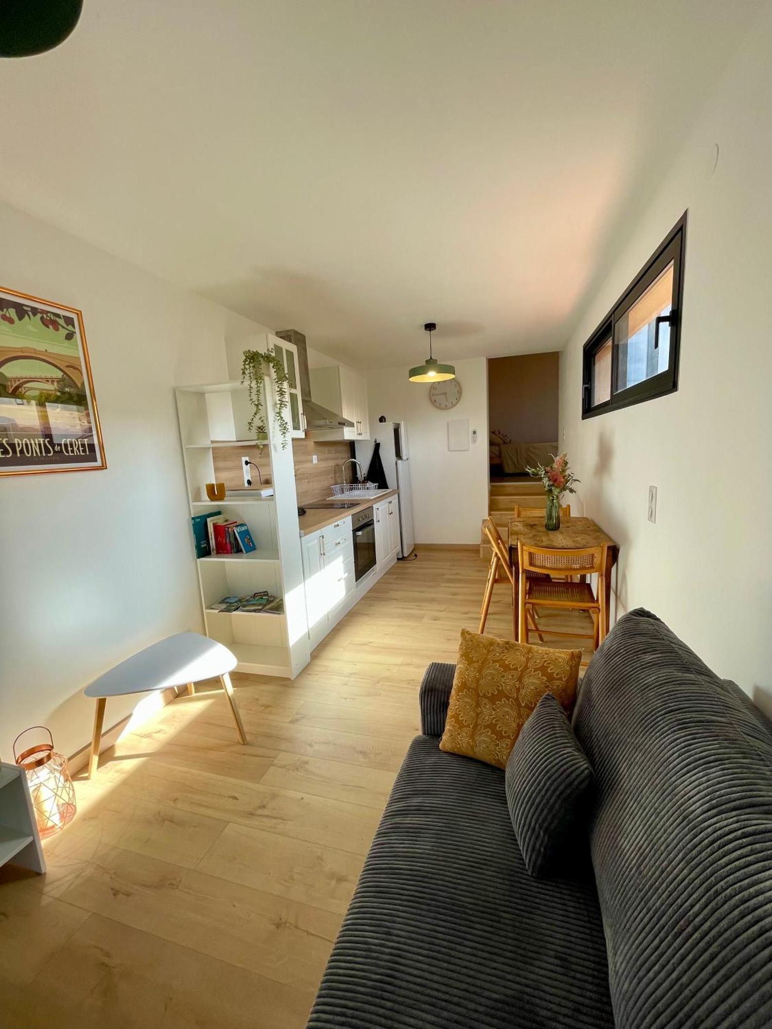 Bel Appartement A Céret Dış mekan fotoğraf